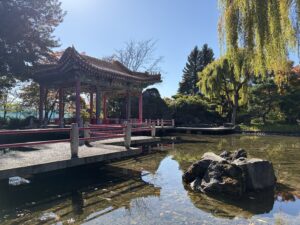 中国庭園の瀋芳園