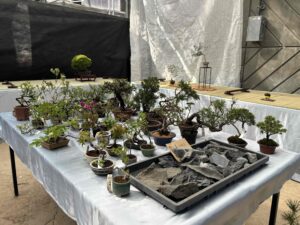 展示会場